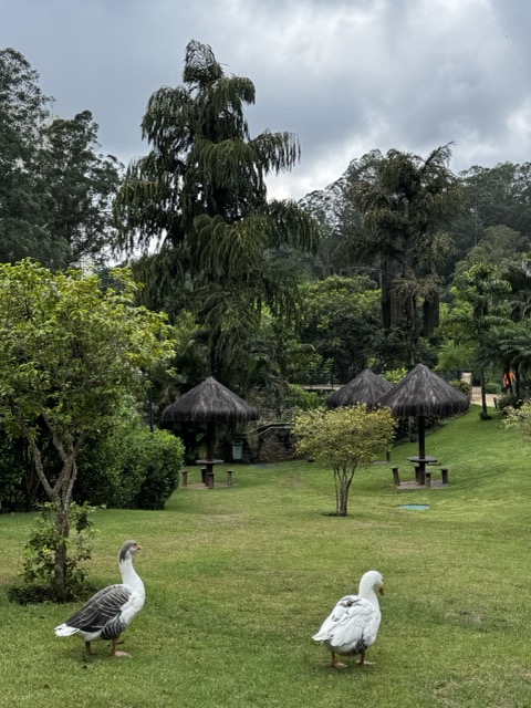 Espaços de convivência e salão de festas do Villaggio Panamby